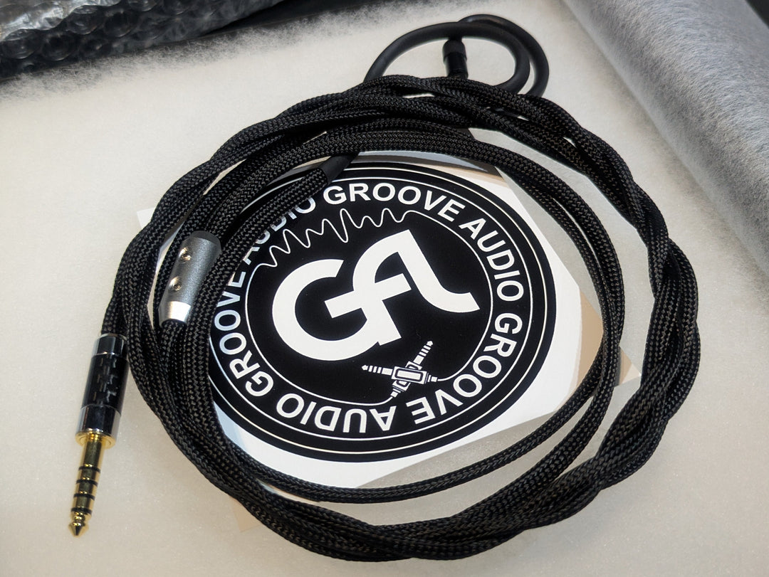 特注ケーブル LEO & GEMINI USB-C変換ケーブル付属